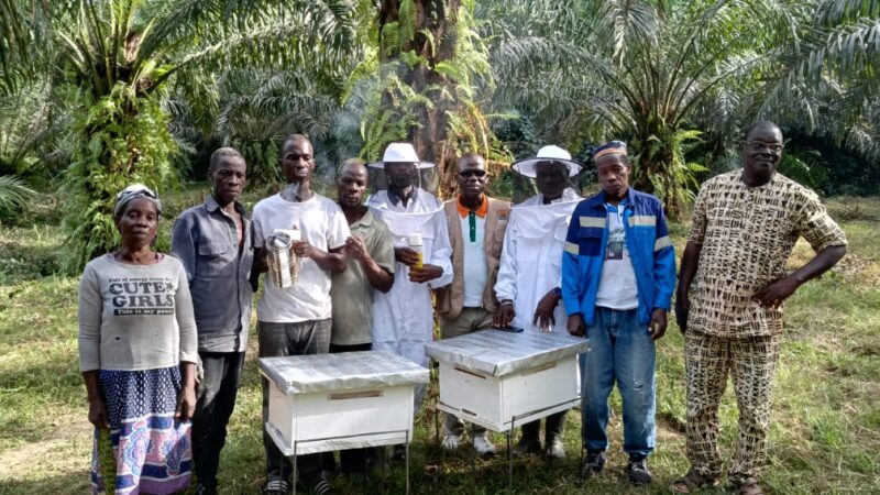 Conservation de la réserve du Mont Nimba : l’apiculture, une alternative pour les communautés de Bouan-Houyé