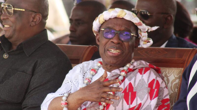 Tonkpi Nihidaley 2024: Découverte des Trésors Culturels Agni du Sud-Comoé 