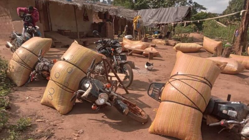 Sipilou sous tension : des autorités débarquées pour complicité dans la fraude agricole