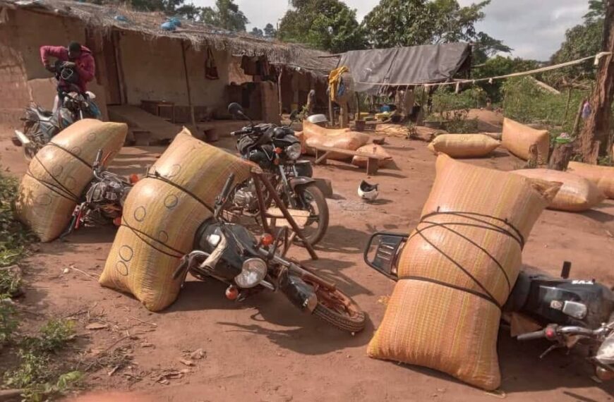 Sipilou sous tension : des autorités débarquées pour complicité dans la fraude agricole