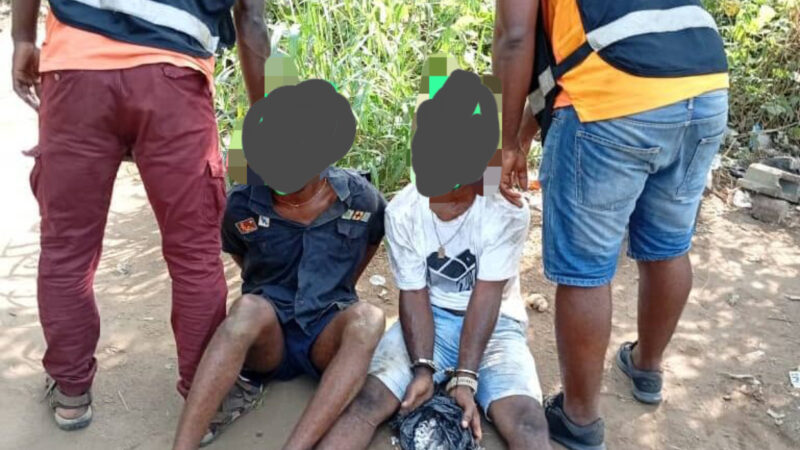 Sud-Comoé : la DPSD mène une offensive majeure contre les stupéfiants et les MQIF