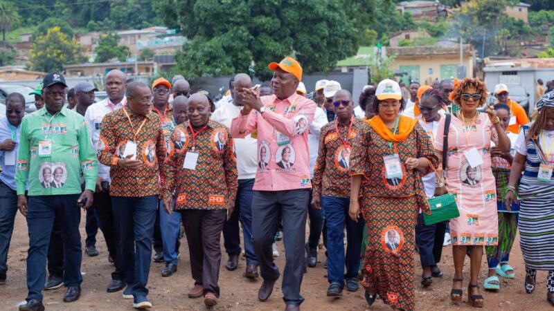 Pré congrès du RHDP: pourquoi le Tonkpi choisit Alassane Ouattara