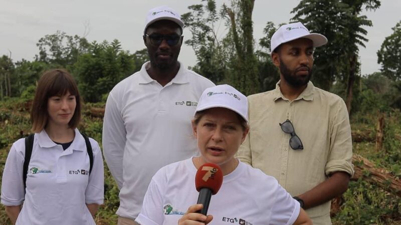 Reboisement à Bouaflé : Forest Cover et Beyond Beans/ETG en action pour la régénération forestière