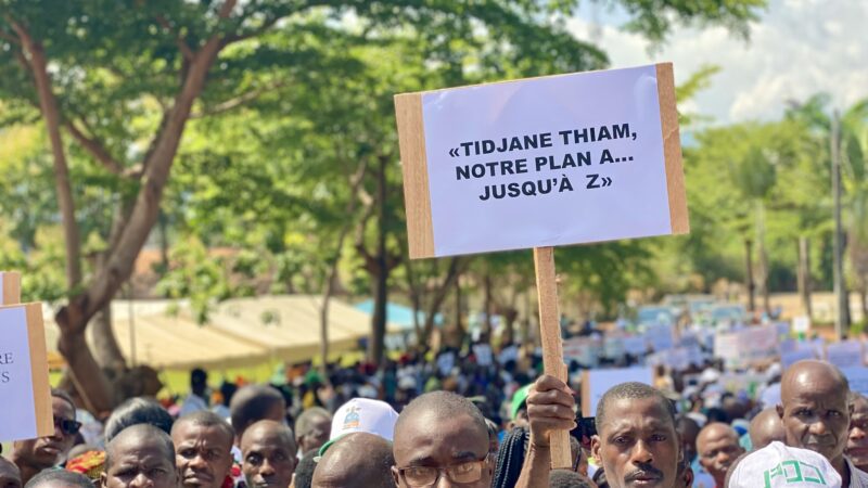 District des Montagnes : Le PDCI-RDA proteste contre la radiation de Tidjane Thiam