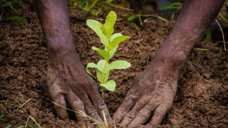 Enfants et climat : un combat pour l’avenir dans le Tonkpi 