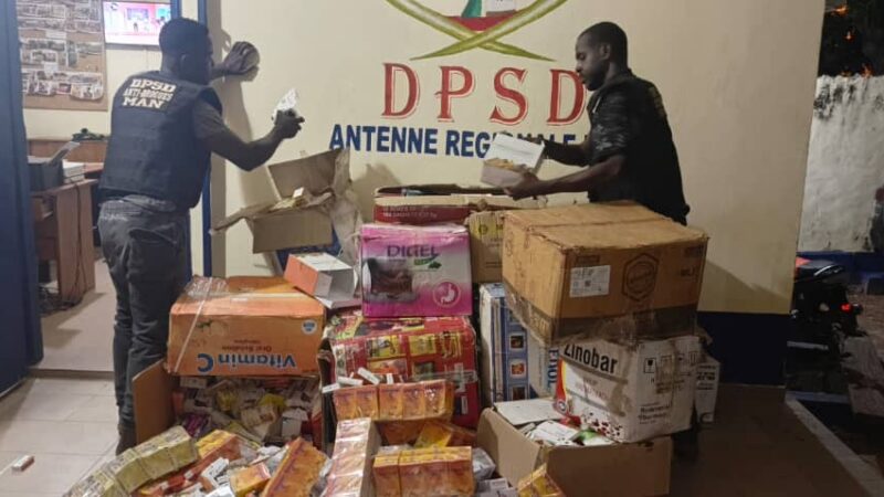 Man: La DPSD détruit plus de 60 fumoirs et interpelle une centaine de trafiquants