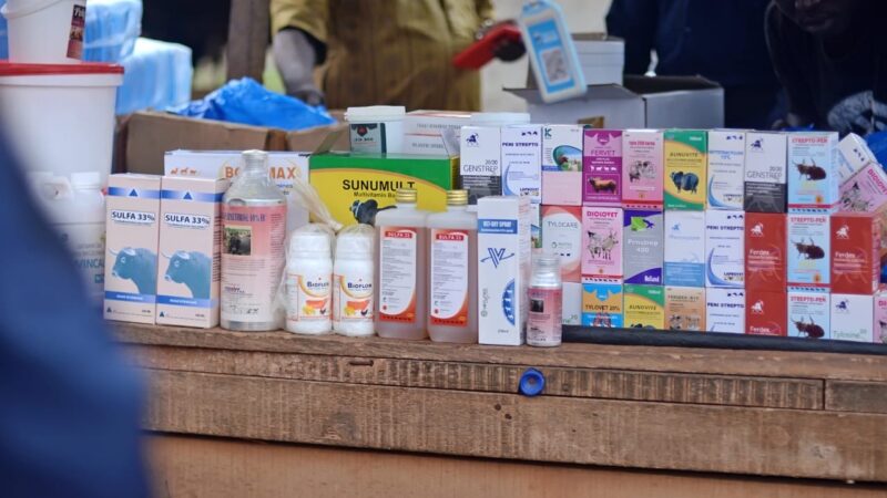Anyama : près de deux tonnes de médicaments vétérinaires frauduleux saisies lors d’une opération de répression