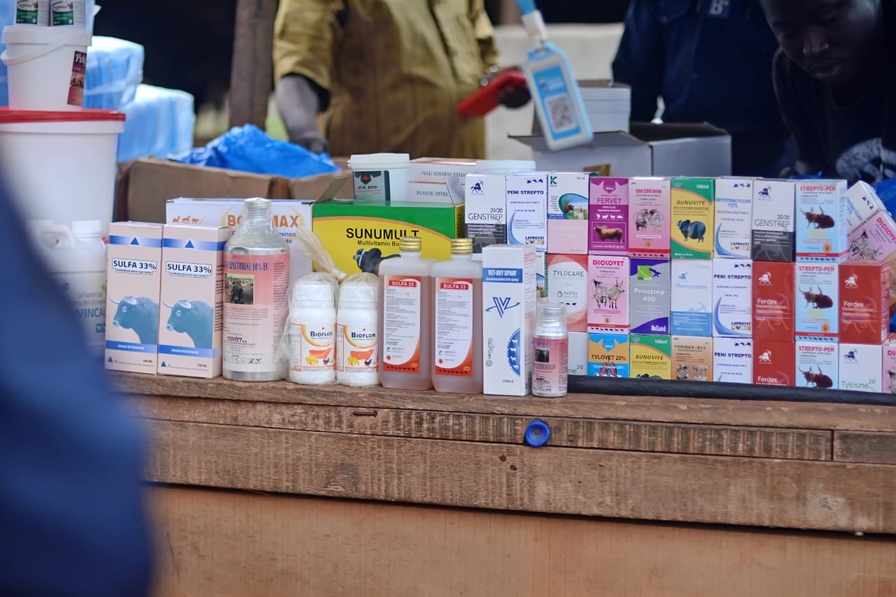 Anyama : près de deux tonnes de médicaments vétérinaires frauduleux saisies lors d’une opération de répression