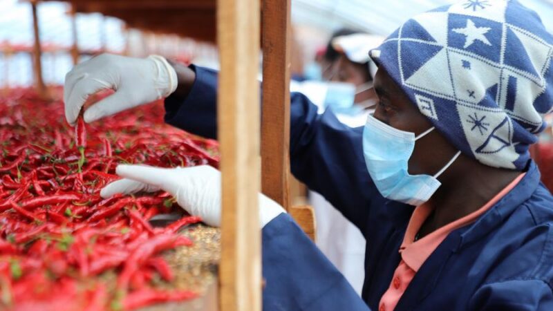 (Multimédia) Zéro droit de douane : la Chine et l&rsquo;Afrique vers une proximité sans précédent (PAPIER GENERAL)