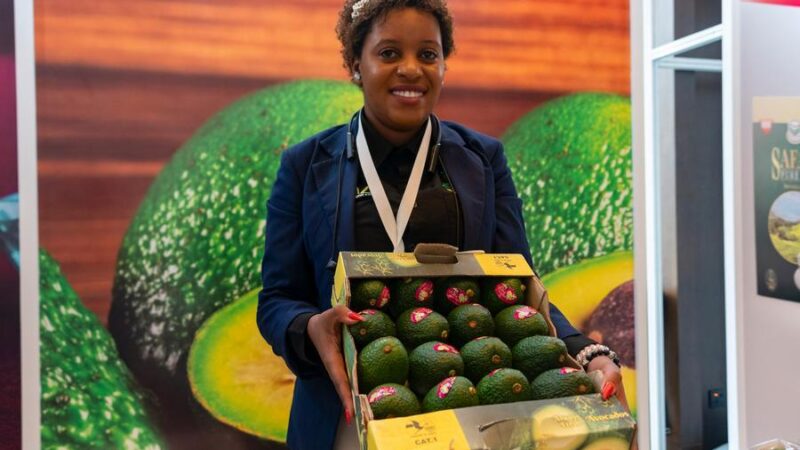 (Multimédia) La politique chinoise de zéro droit de douane suscite des attentes chez les agriculteurs africains (SYNTHESE)