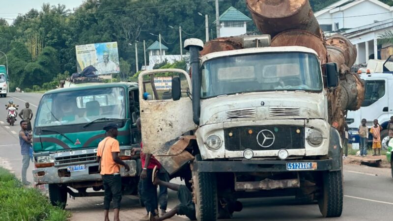 Man : quand les gros porteurs de bois deviennent une menace sur la route
