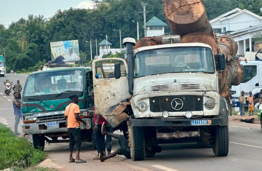 Man : quand les gros porteurs de bois deviennent une menace sur la route