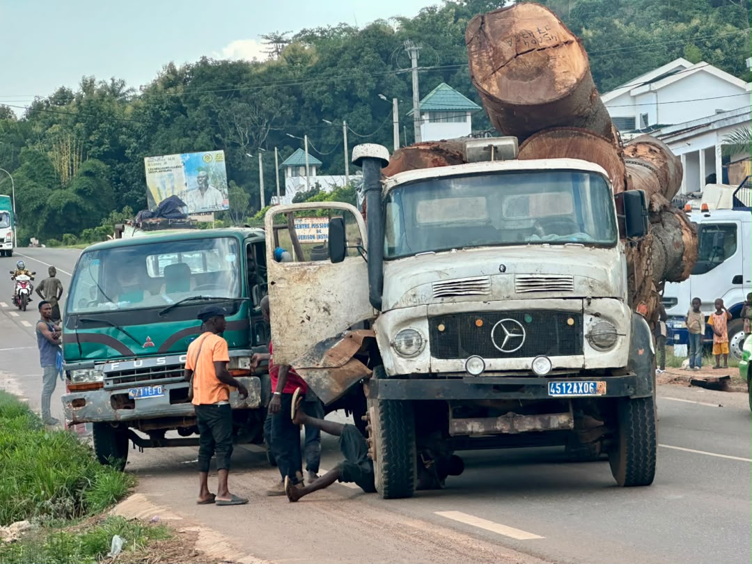 Man : quand les gros porteurs de bois deviennent une menace sur la route